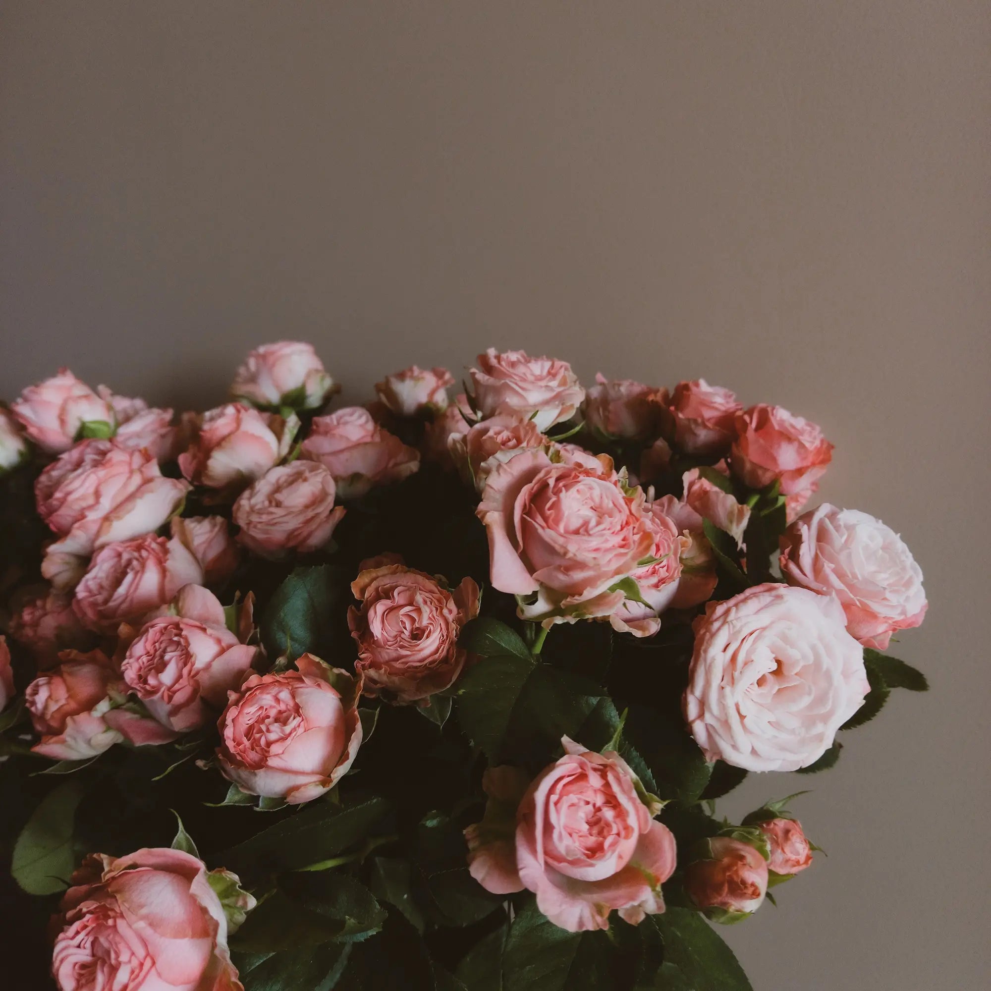 How to Make Fresh Flowers Last Longer at Home